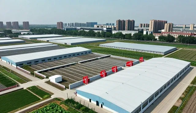 全流程跟进日用百货怎么做得更稳:电子产品一线经验